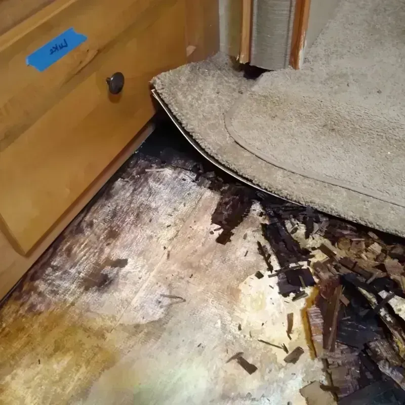 Best Wood Floor Water Damage Service in Chamberlayne, VA